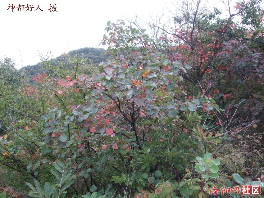 DSCF4047.JPG
