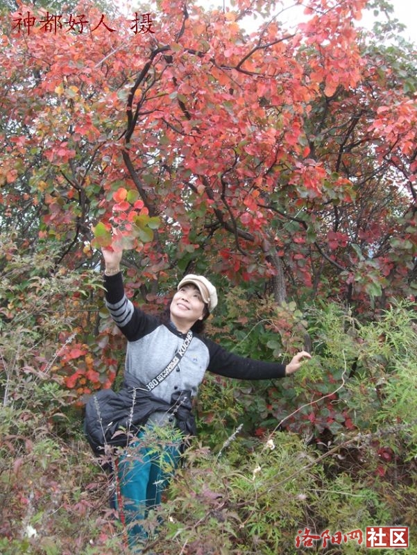 DSCF4051.JPG