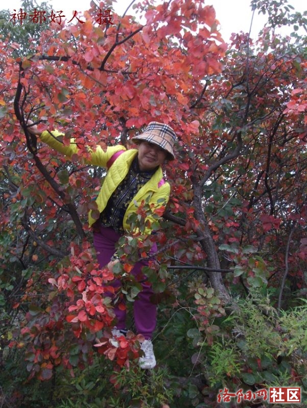 DSCF4055.JPG