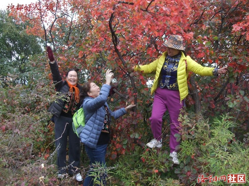 DSCF4059.JPG