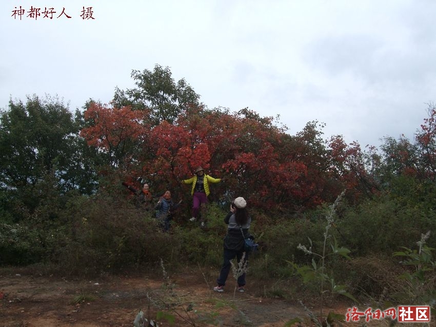 DSCF4061.JPG