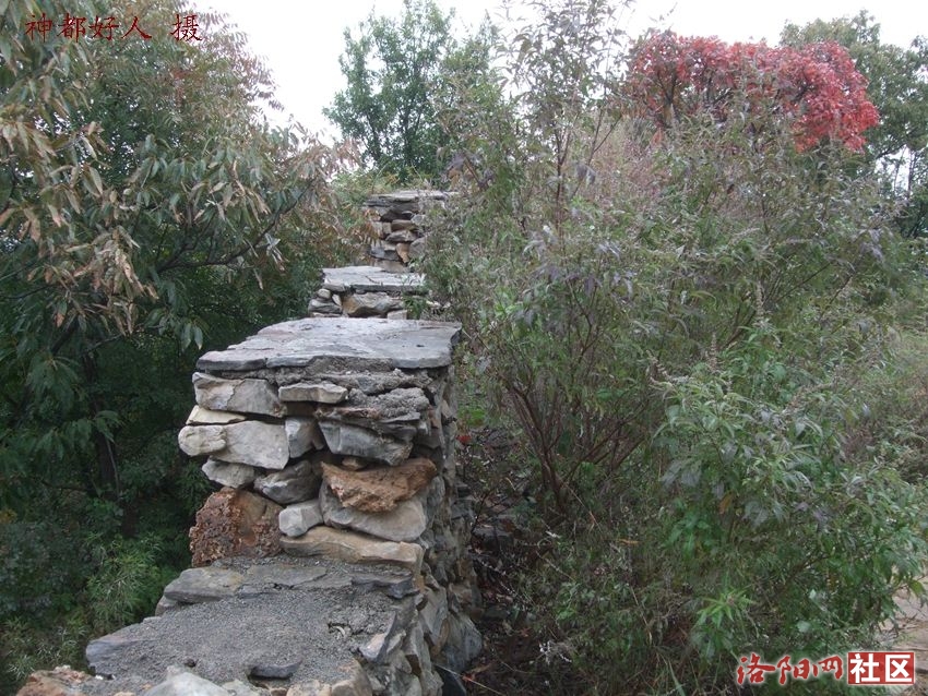 DSCF4063.JPG