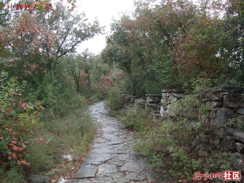 DSCF4068.JPG