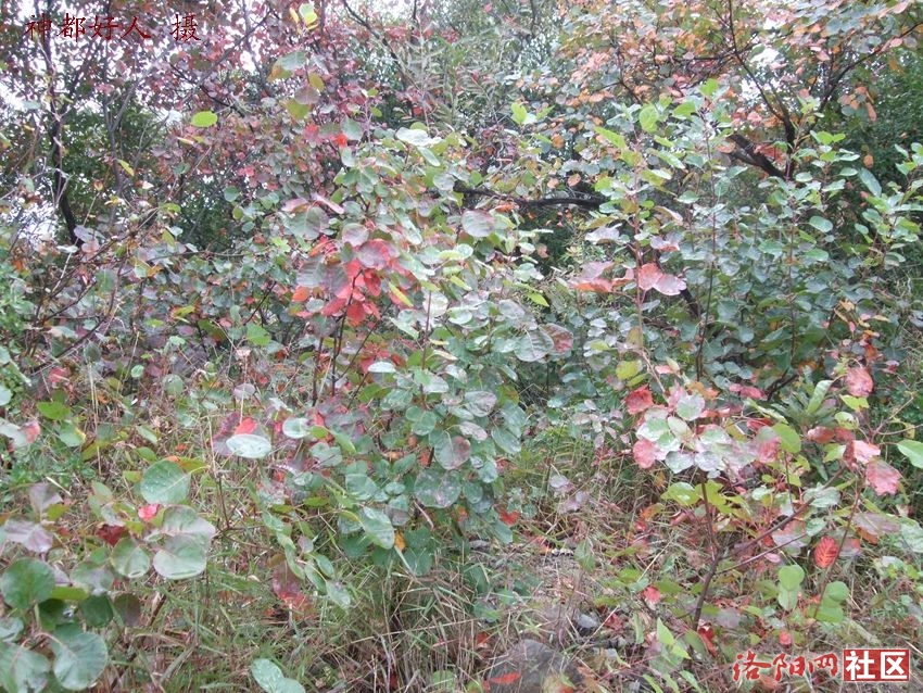 DSCF4069.JPG