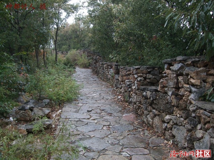 DSCF4073.JPG