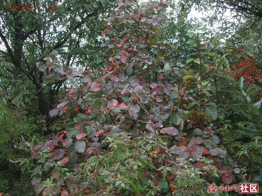 DSCF4075.JPG