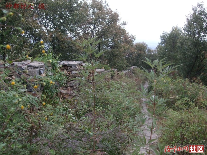 DSCF4077.JPG