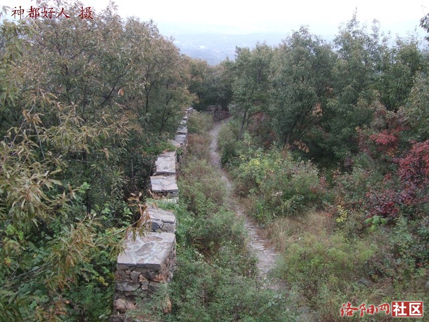 DSCF4079.JPG