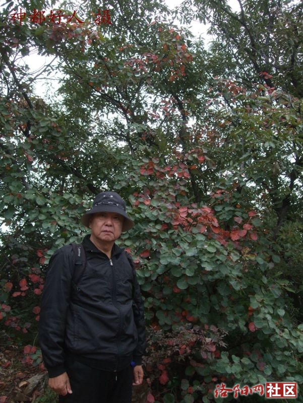 DSCF4108.JPG