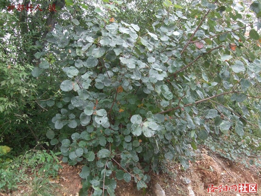 DSCF4112.JPG