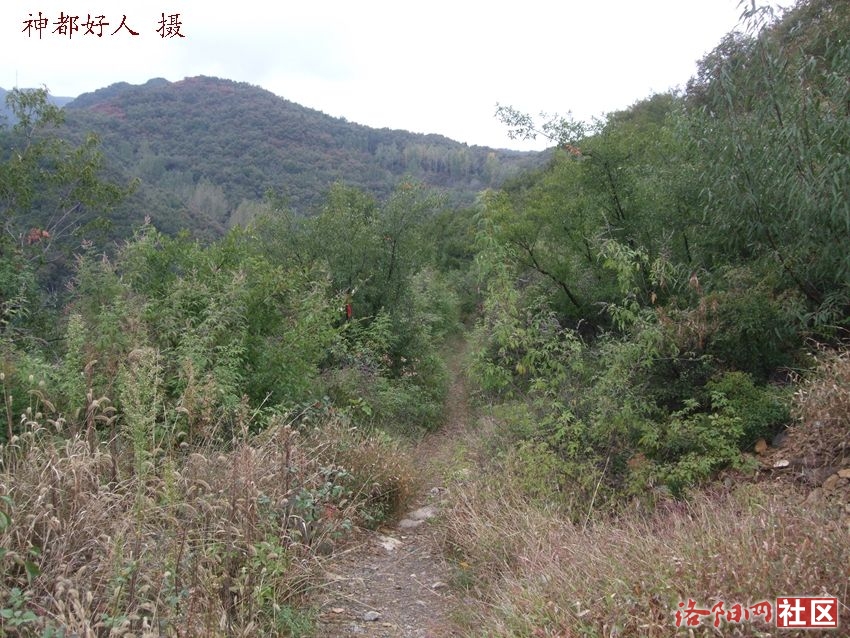 DSCF4115.JPG