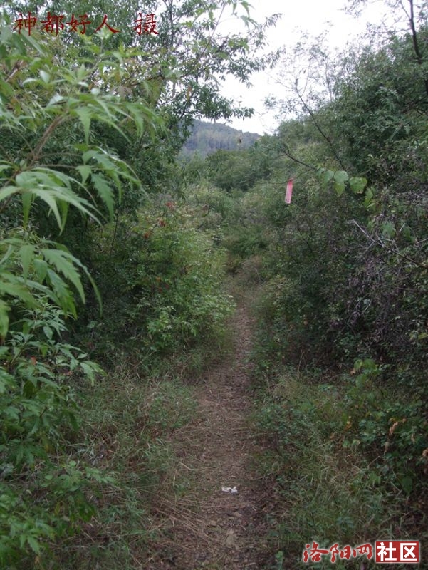 DSCF4116.JPG