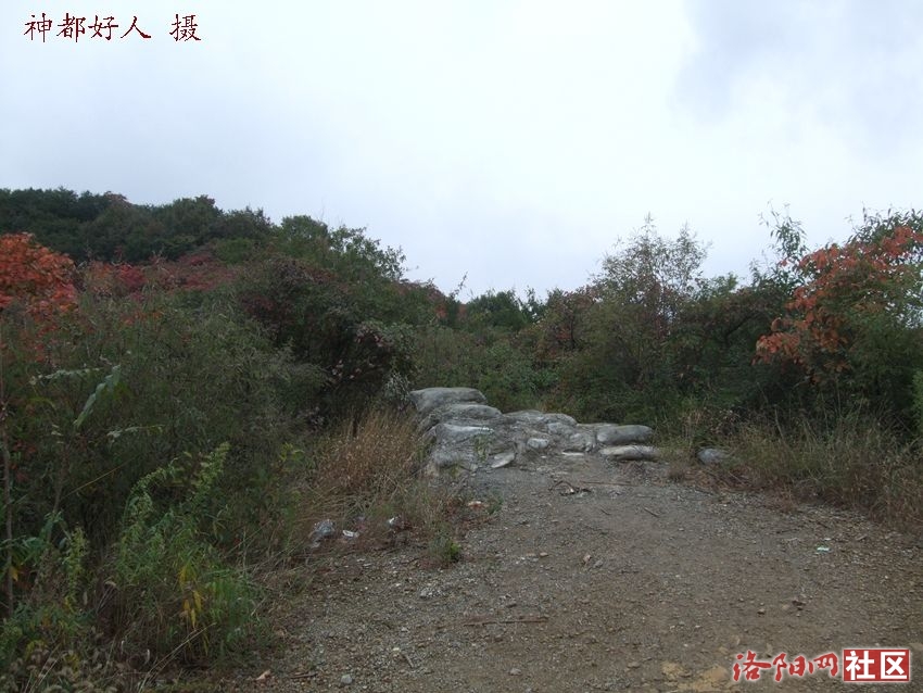 DSCF4121.JPG