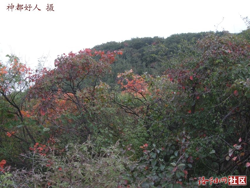 DSCF4122.JPG