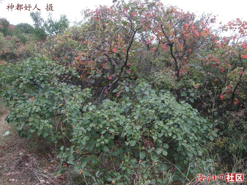 DSCF4123.JPG