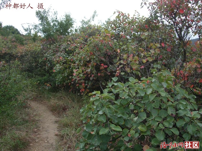 DSCF4124.JPG