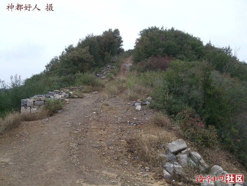 DSCF4125.JPG