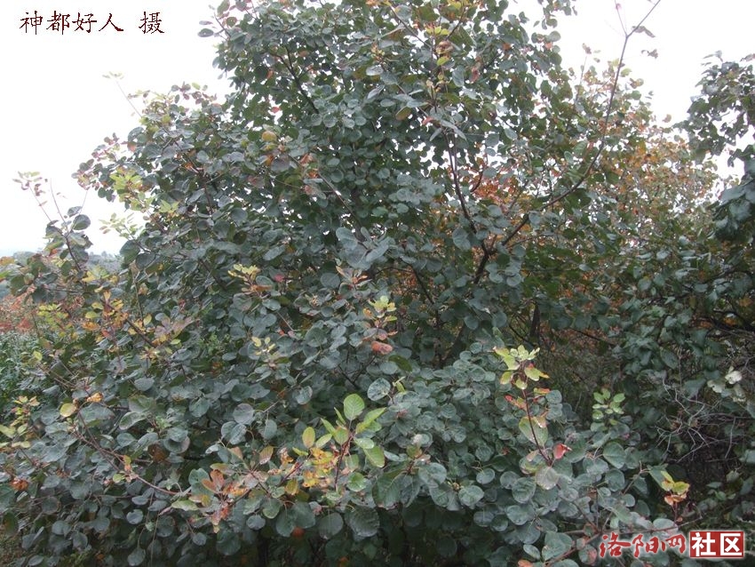 DSCF4126.JPG