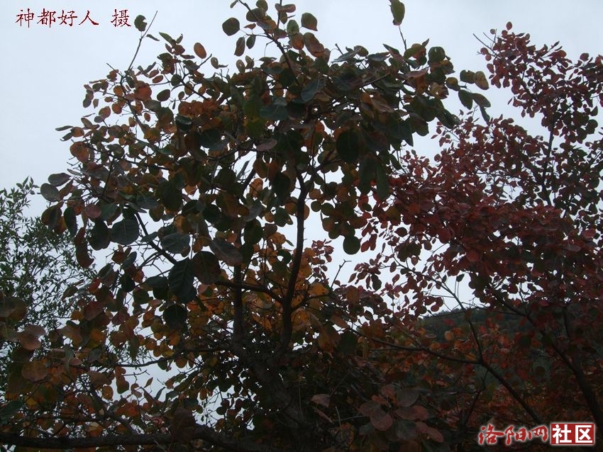 DSCF4132.JPG