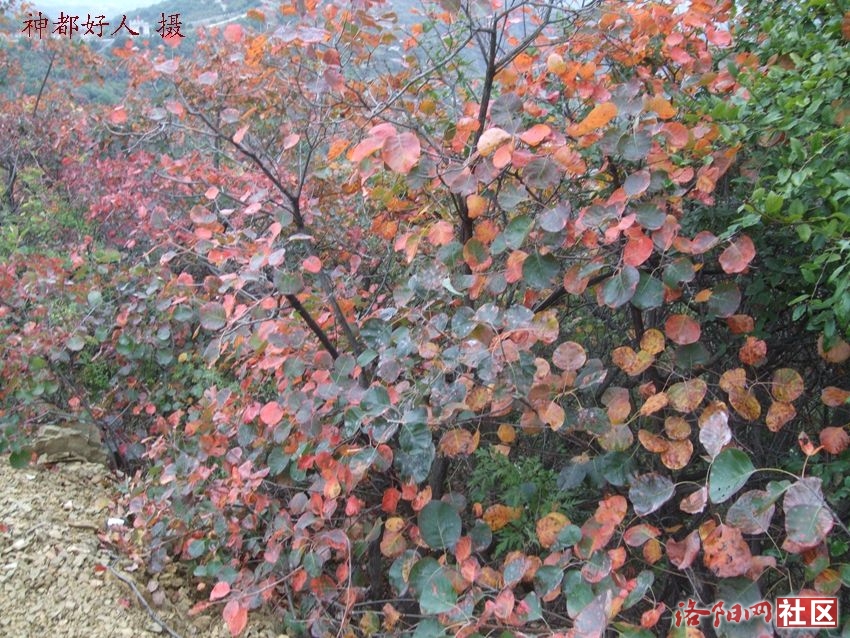 DSCF4133.JPG