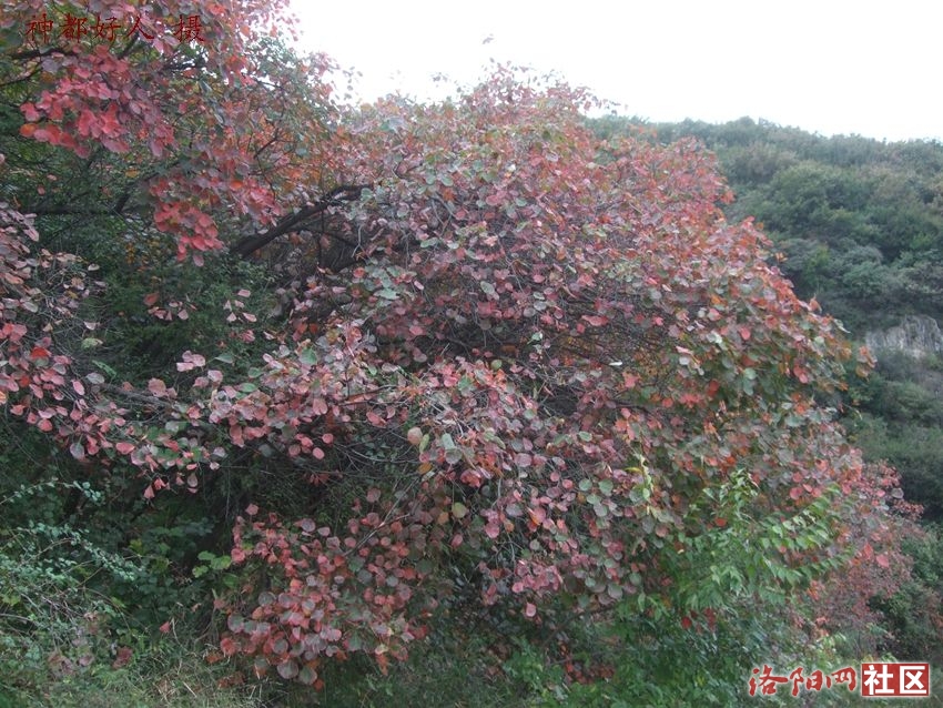 DSCF4135.JPG