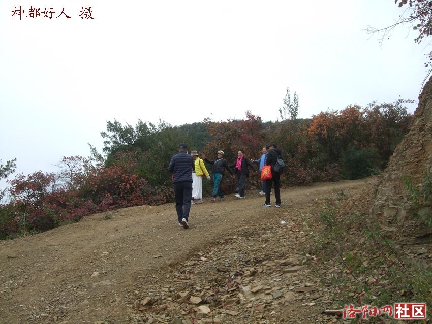 DSCF4136.JPG