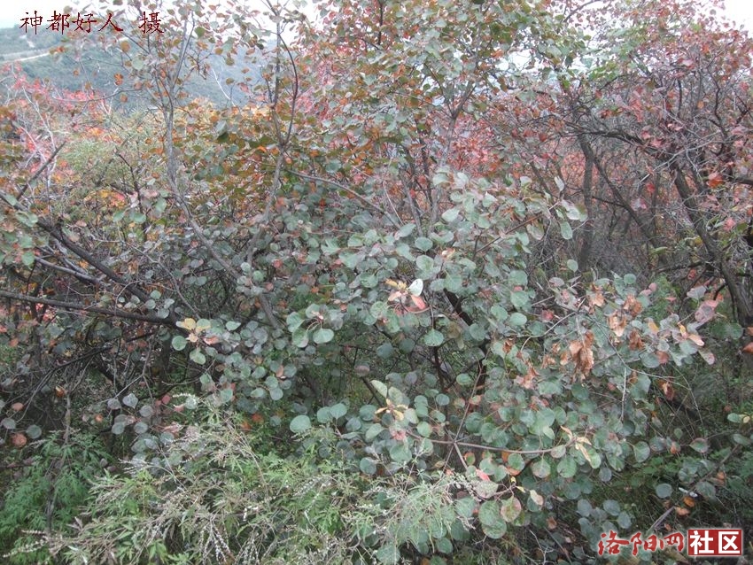 DSCF4137.JPG