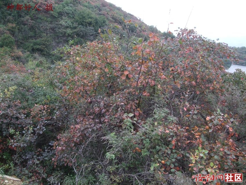 DSCF4138.JPG