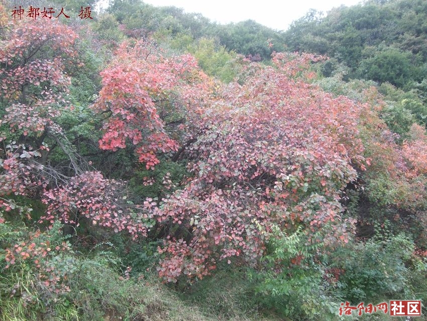 DSCF4139.JPG