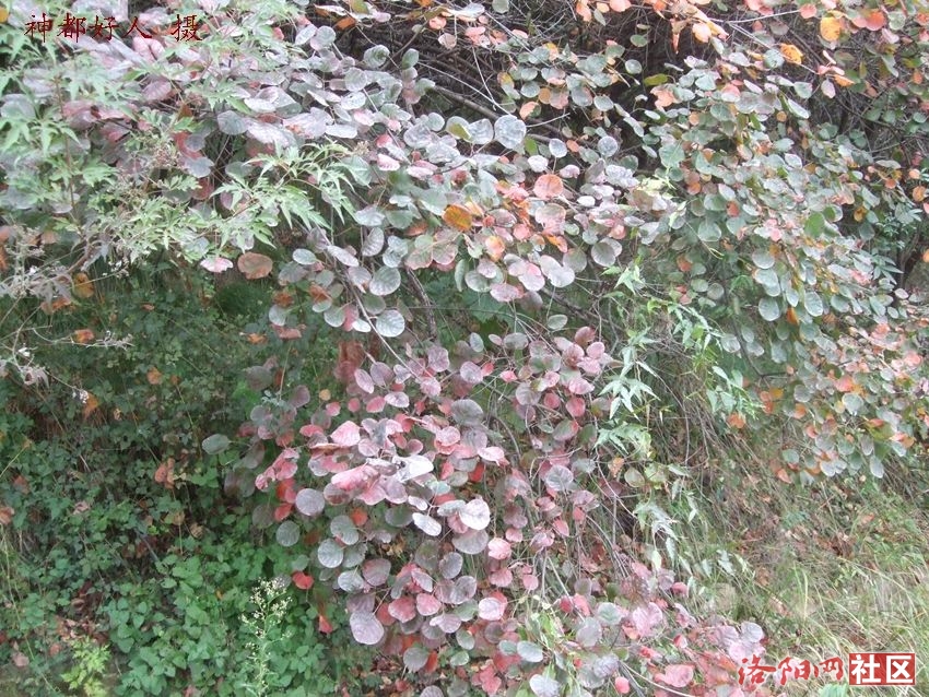 DSCF4142.JPG