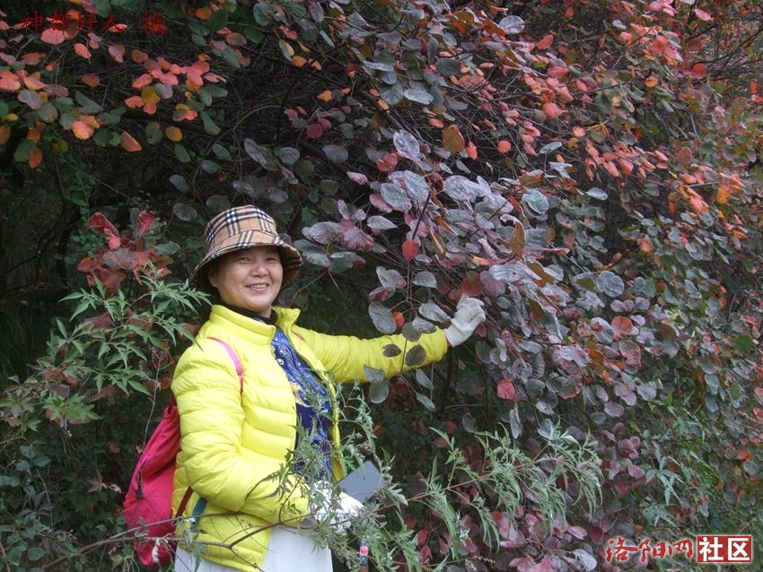 DSCF4146.JPG