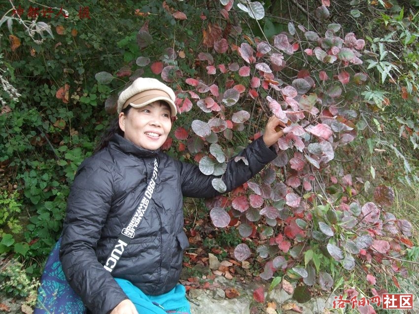 DSCF4149.JPG