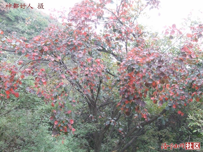 DSCF4150.JPG