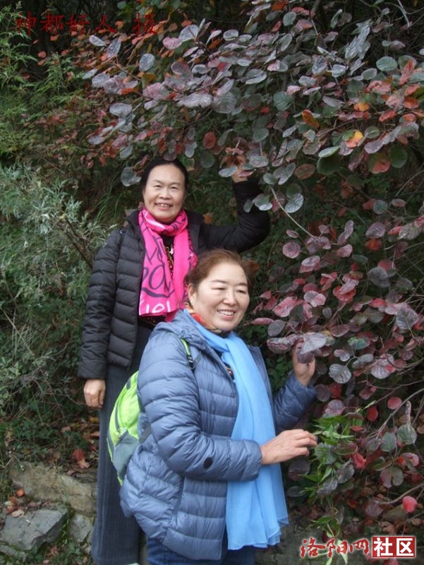 DSCF4152.JPG