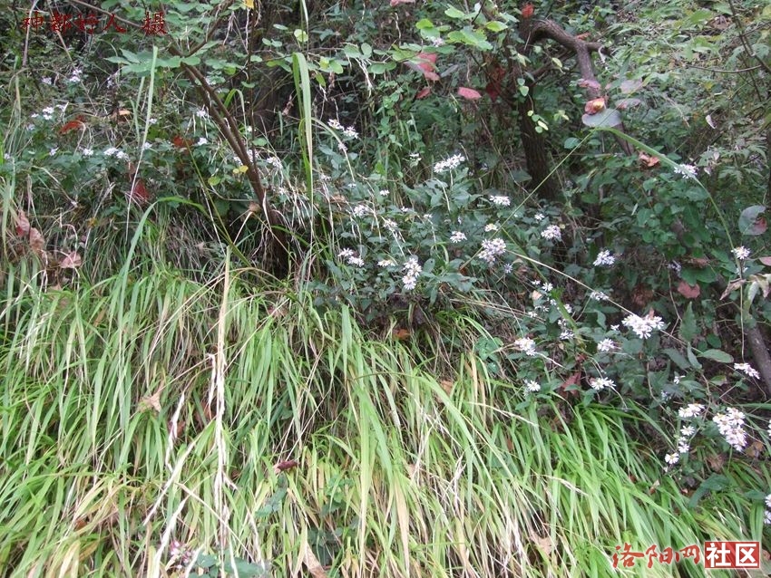 DSCF4153.JPG