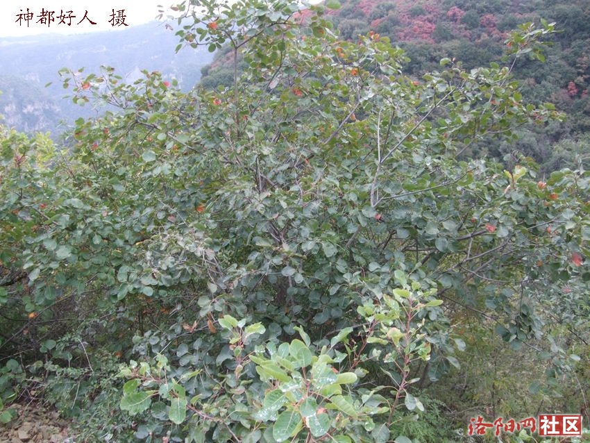 DSCF4154.JPG