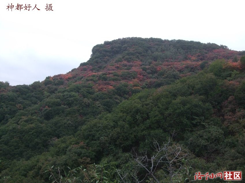 DSCF4155.JPG
