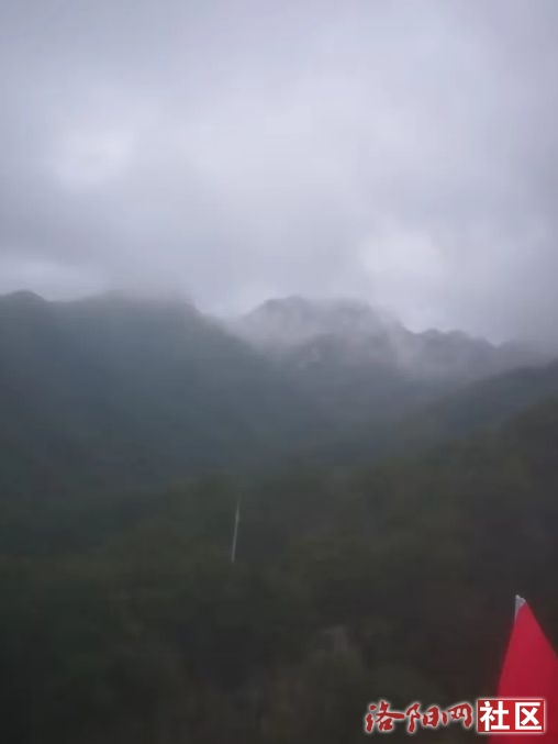 ΢Žͼ_20241021084820.png
