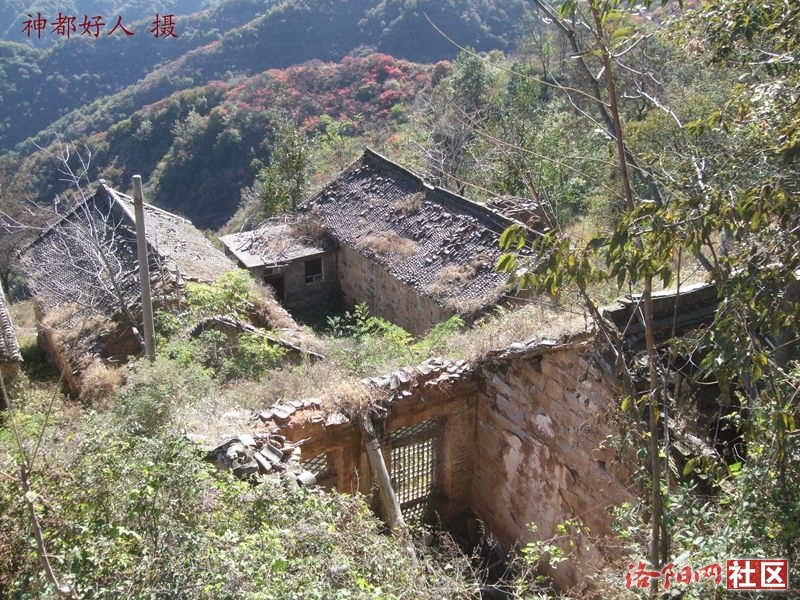 DSCF4037.JPG