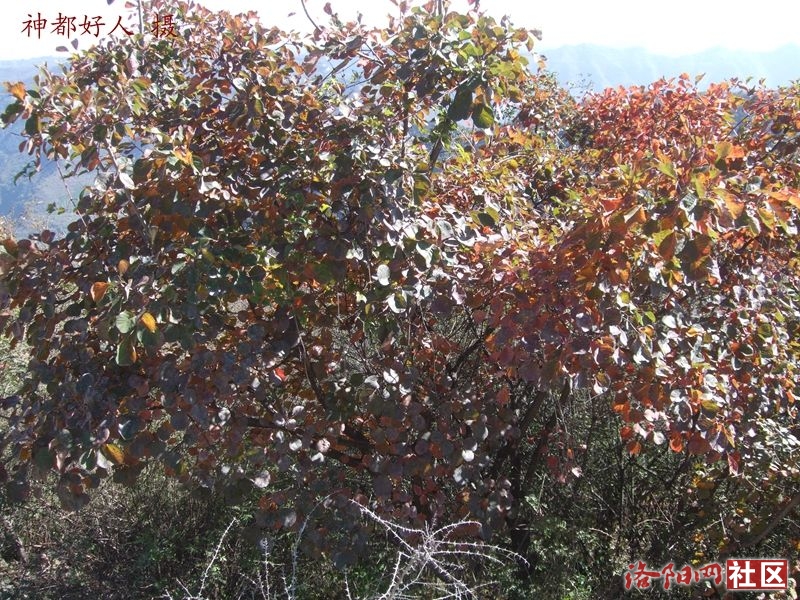 DSCF4059.JPG