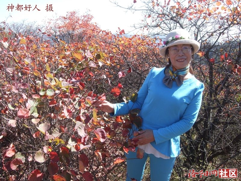 DSCF4065.JPG