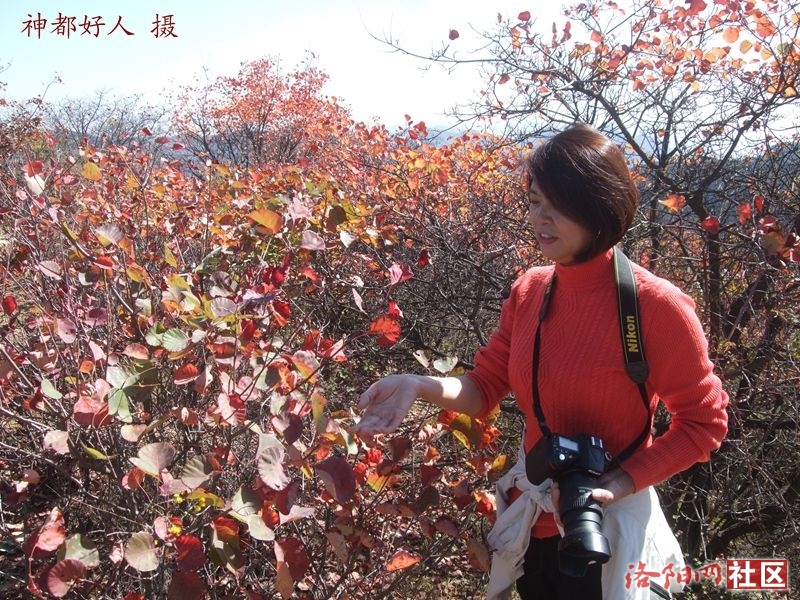 DSCF4066.JPG
