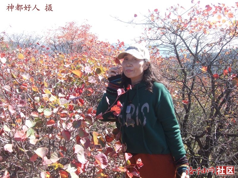 DSCF4068.JPG