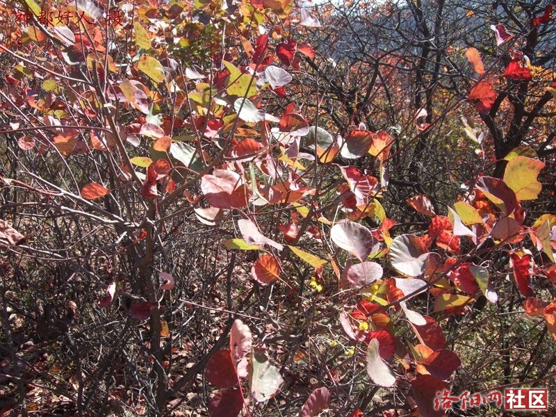 DSCF4069.JPG