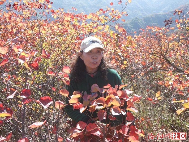 DSCF4070.JPG