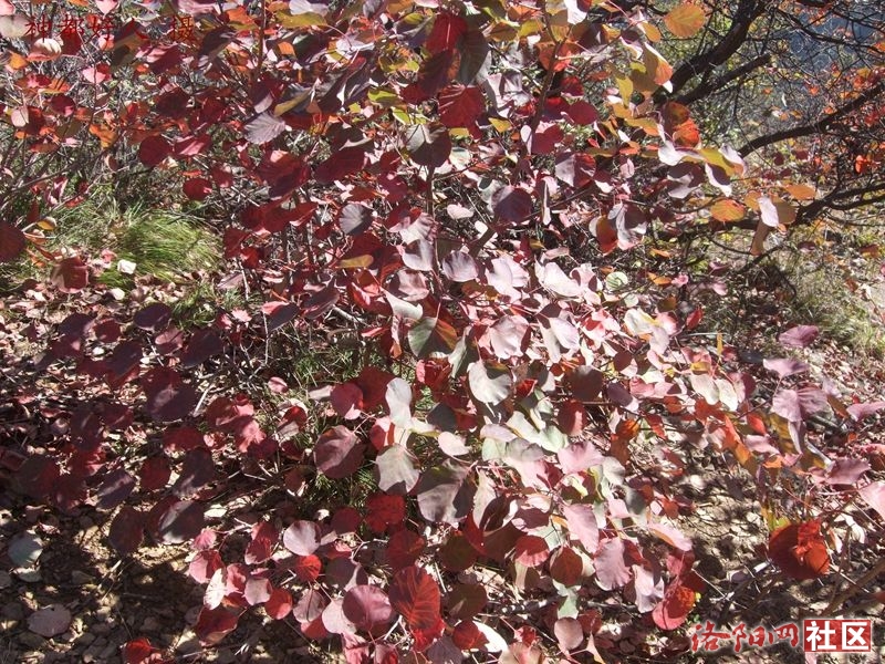DSCF4071.JPG