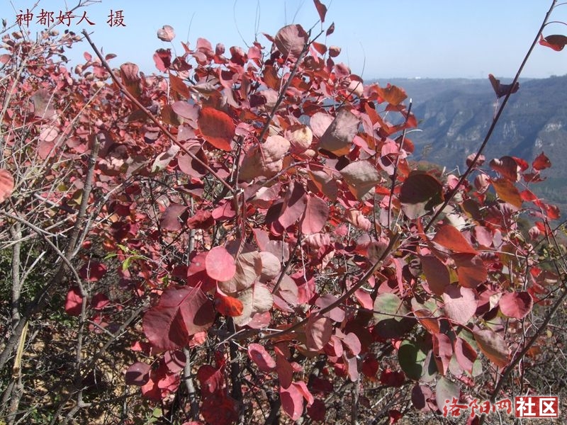DSCF4072.JPG