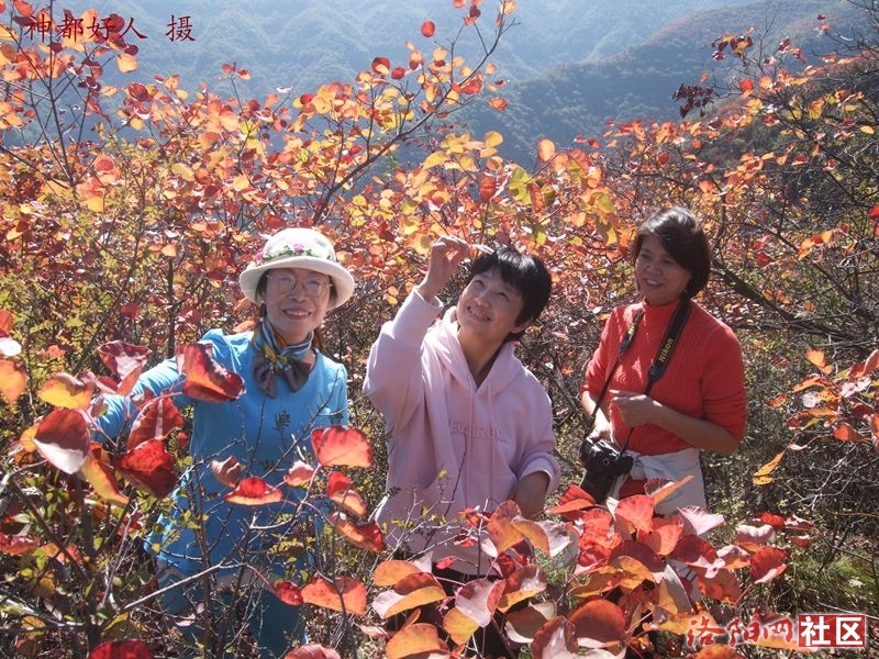 DSCF4073.JPG