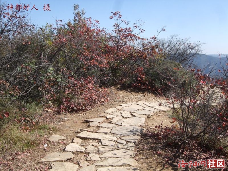 DSCF4074.JPG