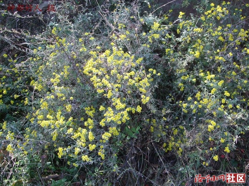 DSCF4076.JPG
